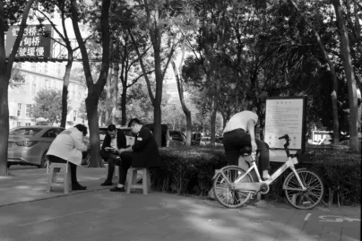 نوكس وين كازينو تطبيق الهاتف المحمول